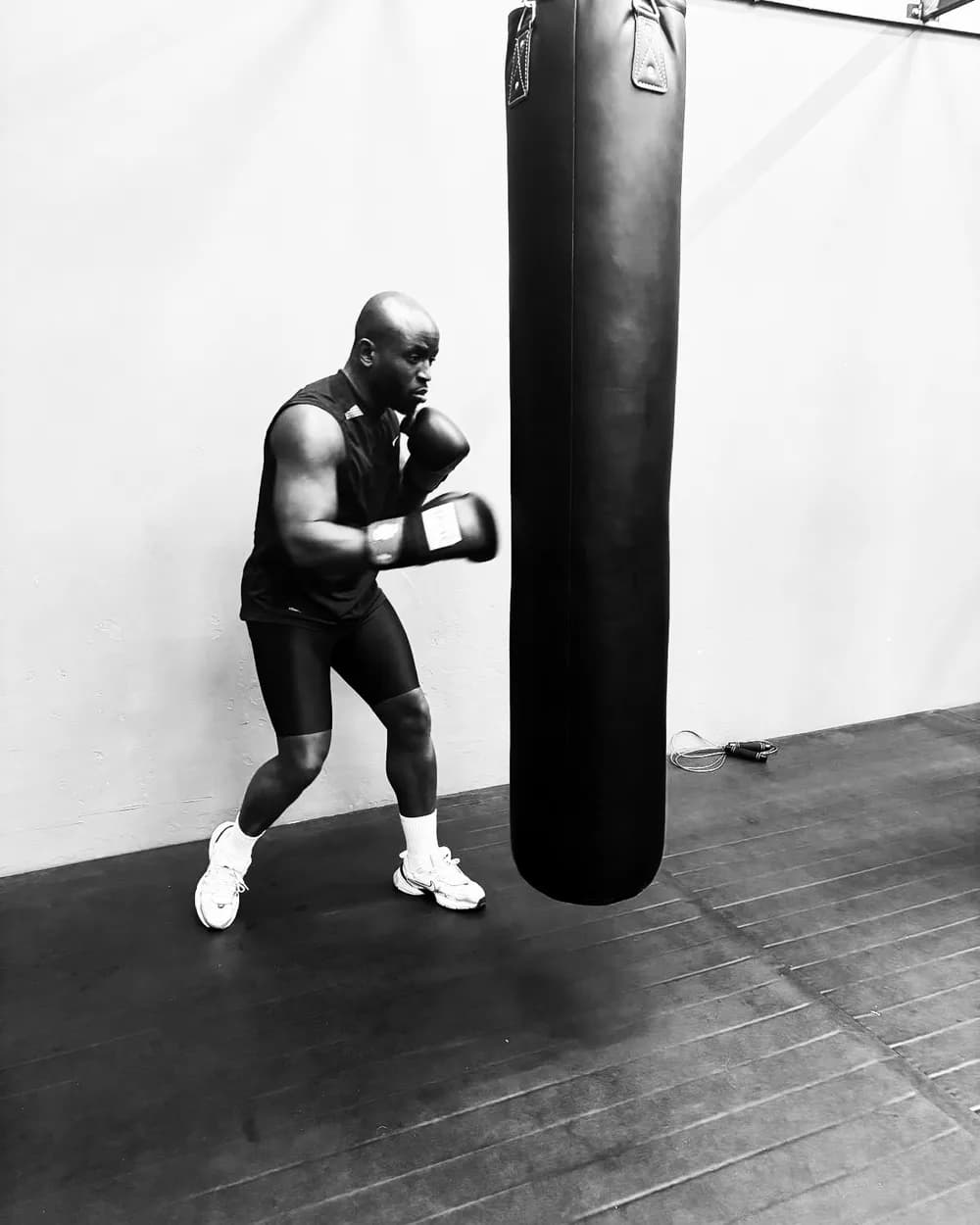 Trainer Tala, Boxen